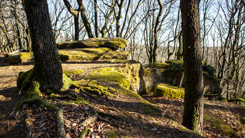 übermooste Felsen am Hüttenberg