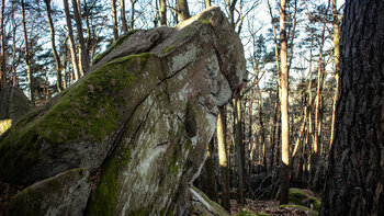 Felsformation auf der Rundwanderung durchs Felsenmeer