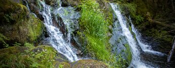 Großer Rötenbach Wasserfall im Schwarzwald