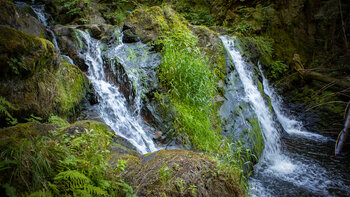 Großer Rötenbach Wasserfall im Schwarzwald
