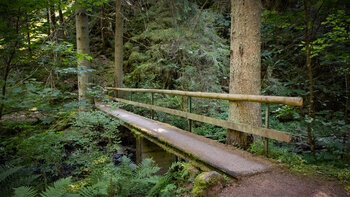 Wanderbrücke über den Rötenbach im Südschwarzwald