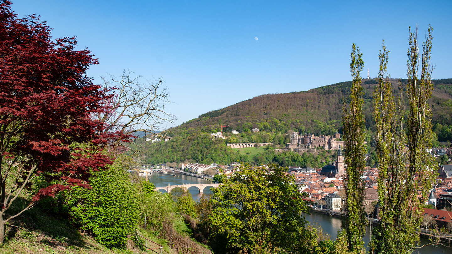 die Eichendorf-Anlage am Philosophenweg in Heidelberg Eichendorf-Anlage am Philosophenweg in Heidelberg