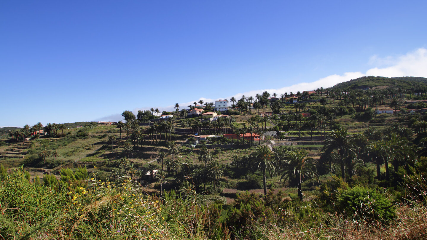 zwischen terassierten Feldern und Palmen liegt Las Hayas auf La Gomera