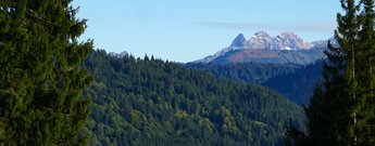Blick Balderschwang Trettachspitze und Mädelegabel
