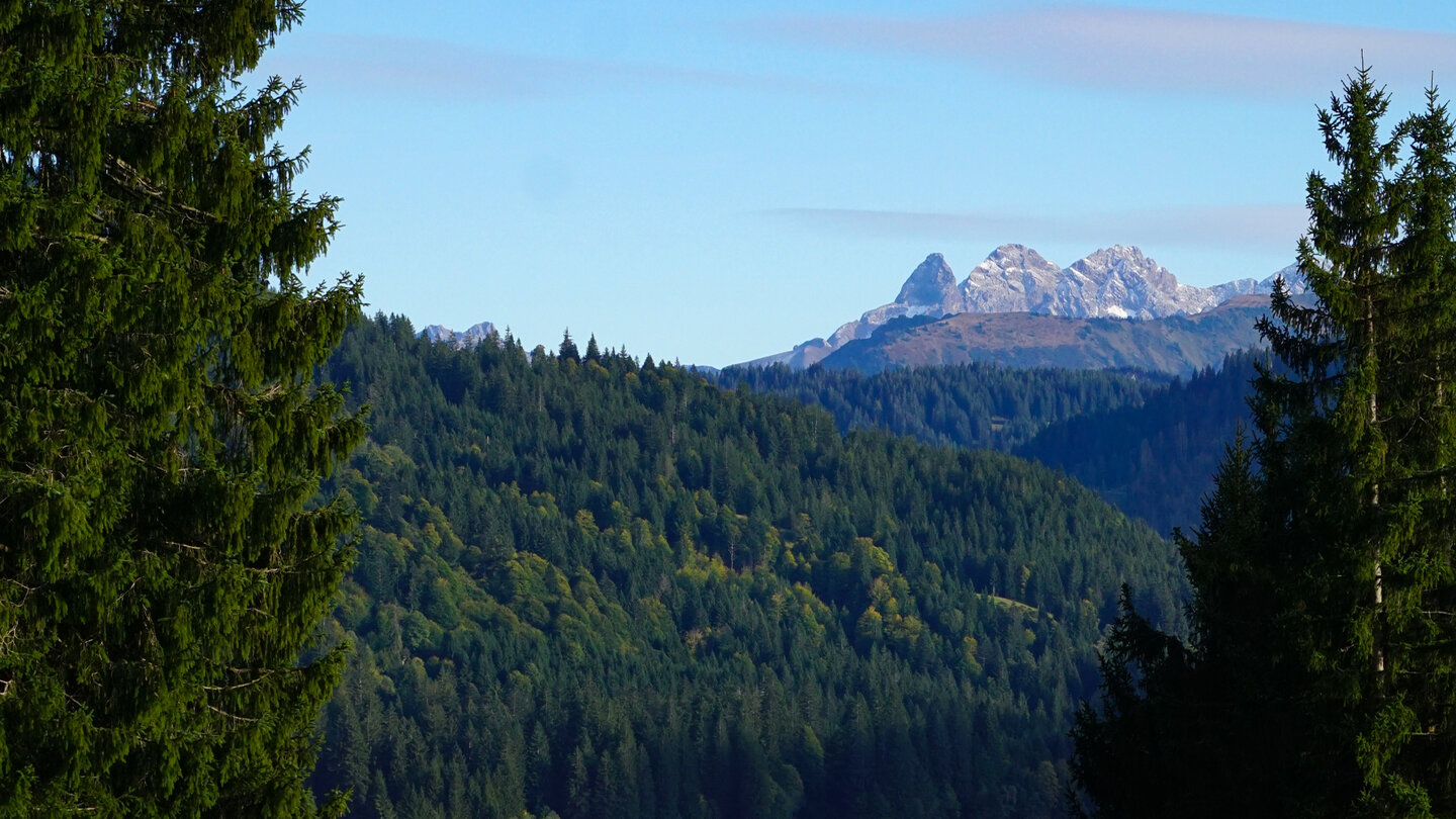 Blick Balderschwang Trettachspitze und Mädelegabel