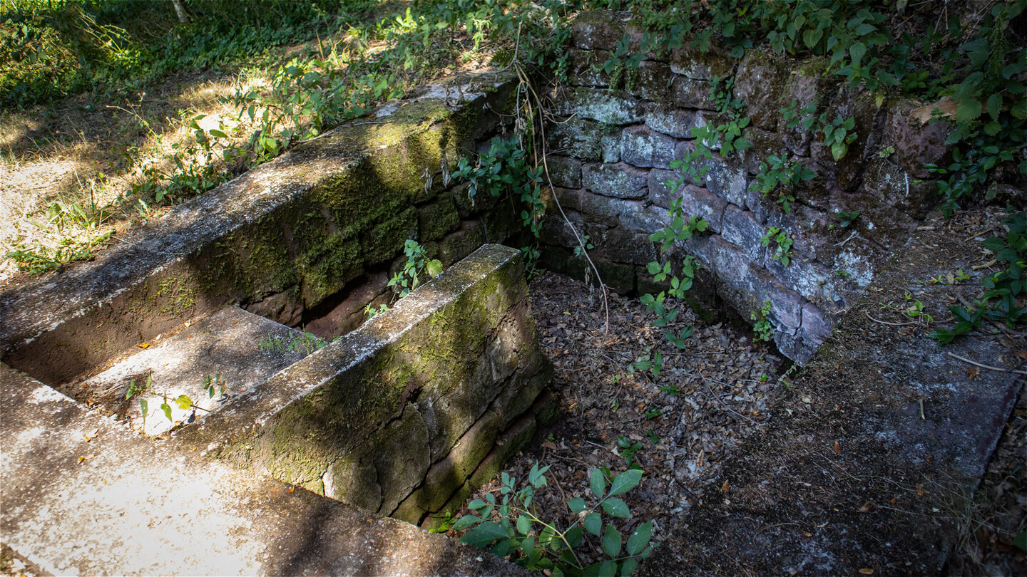 Eingefasste Breitenbachquelle bei Erfweiler