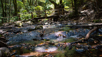 der Bach El Cedro neben dem Rastplatz an der Ermita  de Lourdes