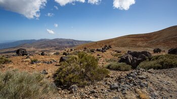 Blick Richtung El Portillo über Ginsterbüsche und Teide Eier