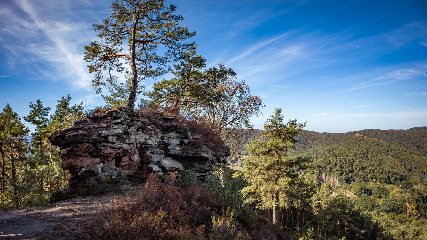 Felsplateau mit sandigem Pfad und braunem Heidekraut, dahinter Kiefern und weite Waldlandschaft unter blauem Himmel mit Schleierwolken