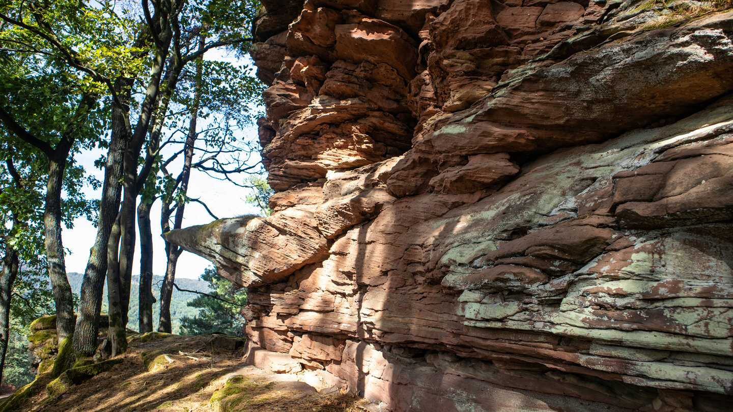 Felsenriff am Häuselstein mit vorspringender Felsnase, moosbedecktem Boden und Sonnenflecken zwischen Baumstämmen