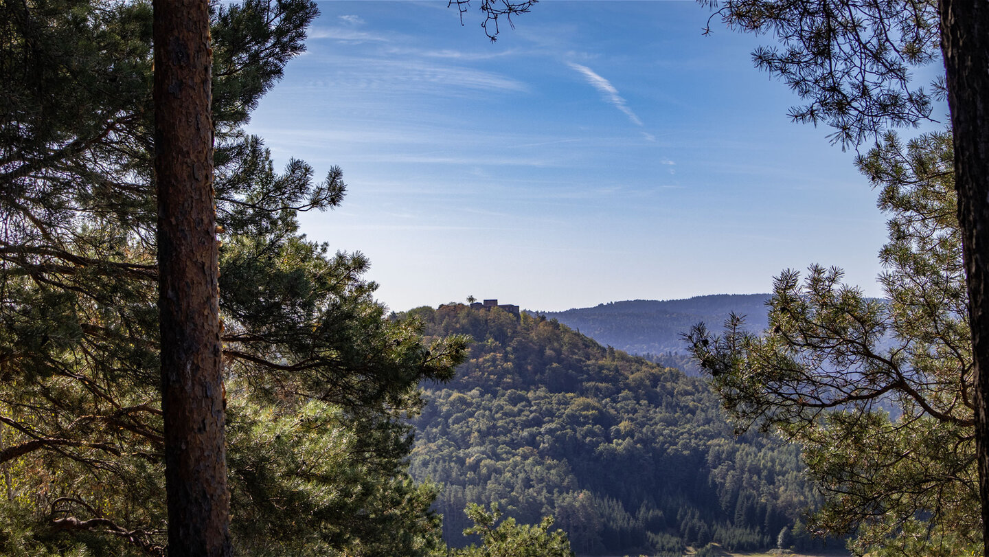 Burgruine Lindelbrunn in der Ferne über dichtem Mischwald, im Vordergrund Kiefer mit rötlicher Rinde