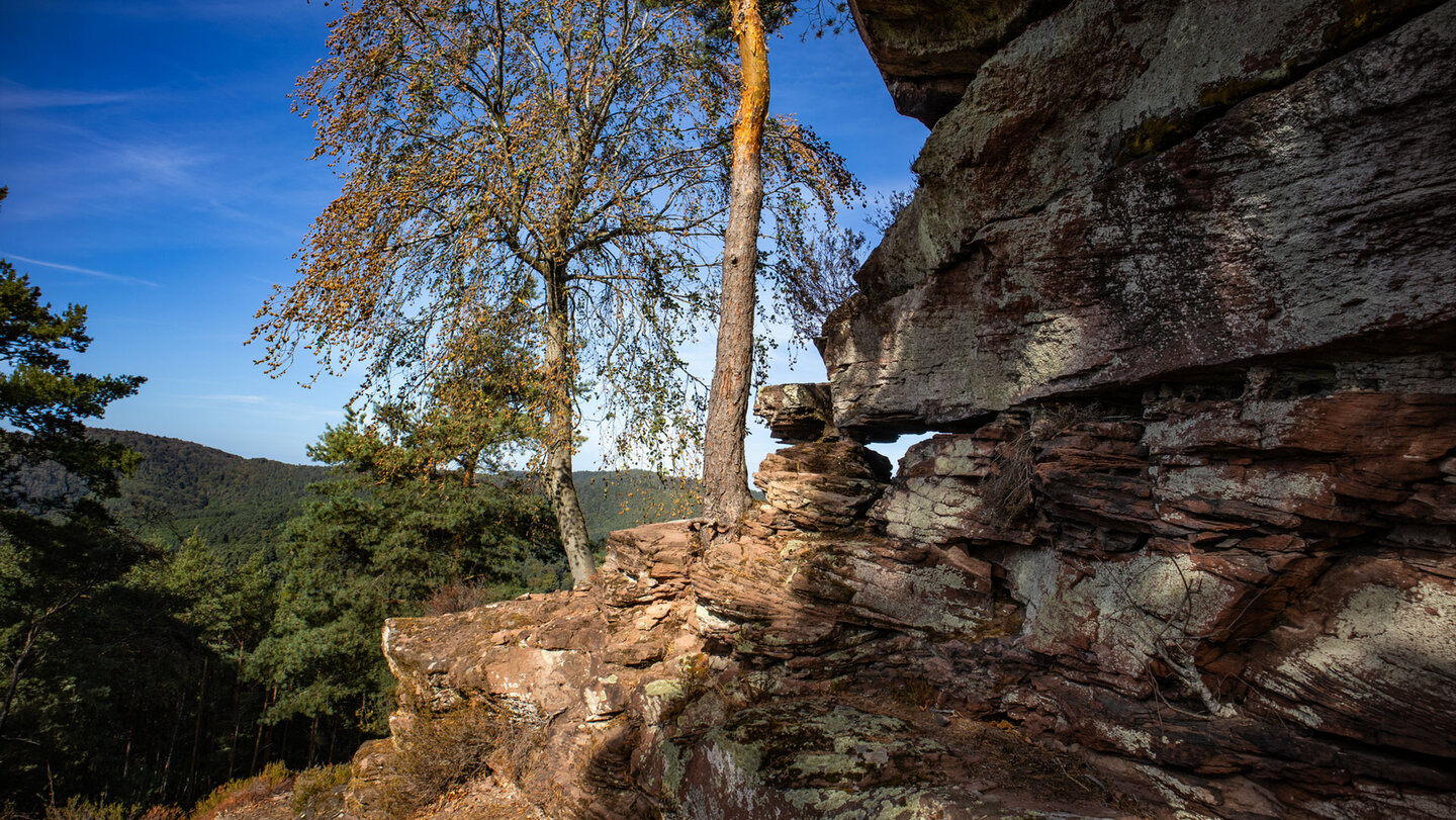 Felsplateau am Häuselstein mit geschichtetem Sandstein im Vordergrund und Blick über dicht bewaldete Hügel unter blauem Himmel
