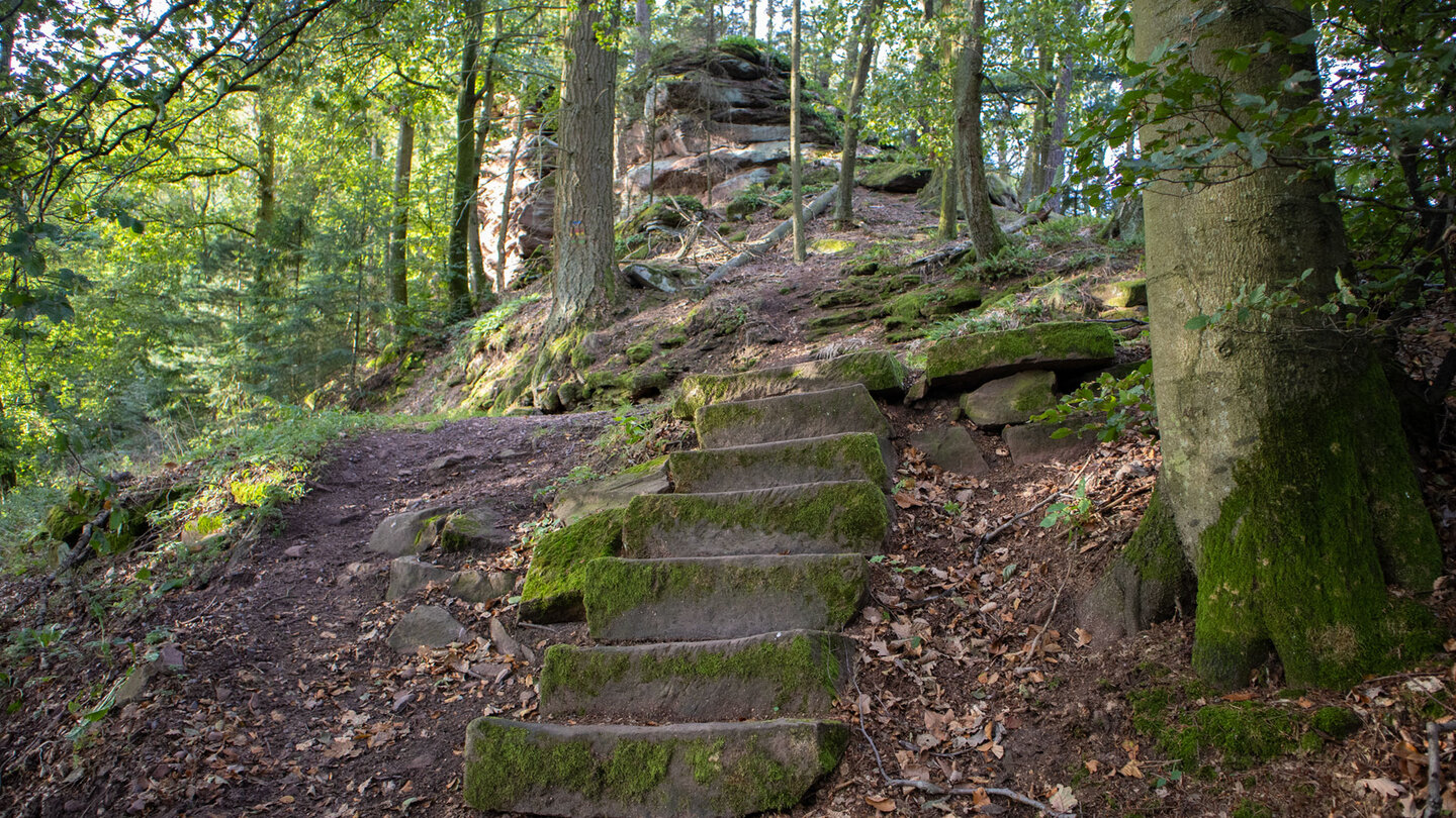 Treppen am Ende des Felskamms Langer Fels