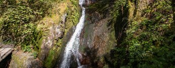 Edelfrauengrab-Wasserfälle sind sagenumwobene Wasserfälle im Gottschlägtal