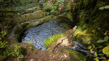 Wasserbecken der Edelfrauengrab-Wasserfälle im Schwarzwald