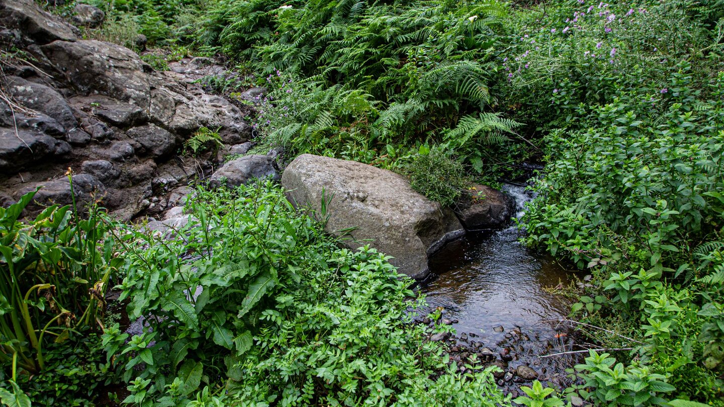 mehrfach zu überquerende Bach El Cedro auf der Ruta 9 zur gleichnamigen Ortschaft - La Gomera