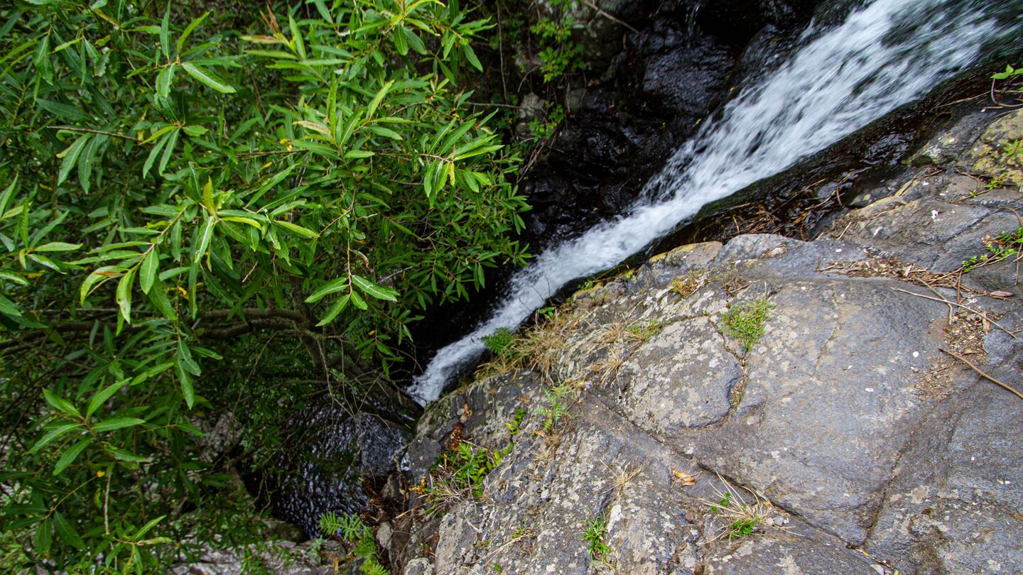 der Wasserlauf entlang des Wanderwegs Ruta 37 nach El Cedro auf La Gomera