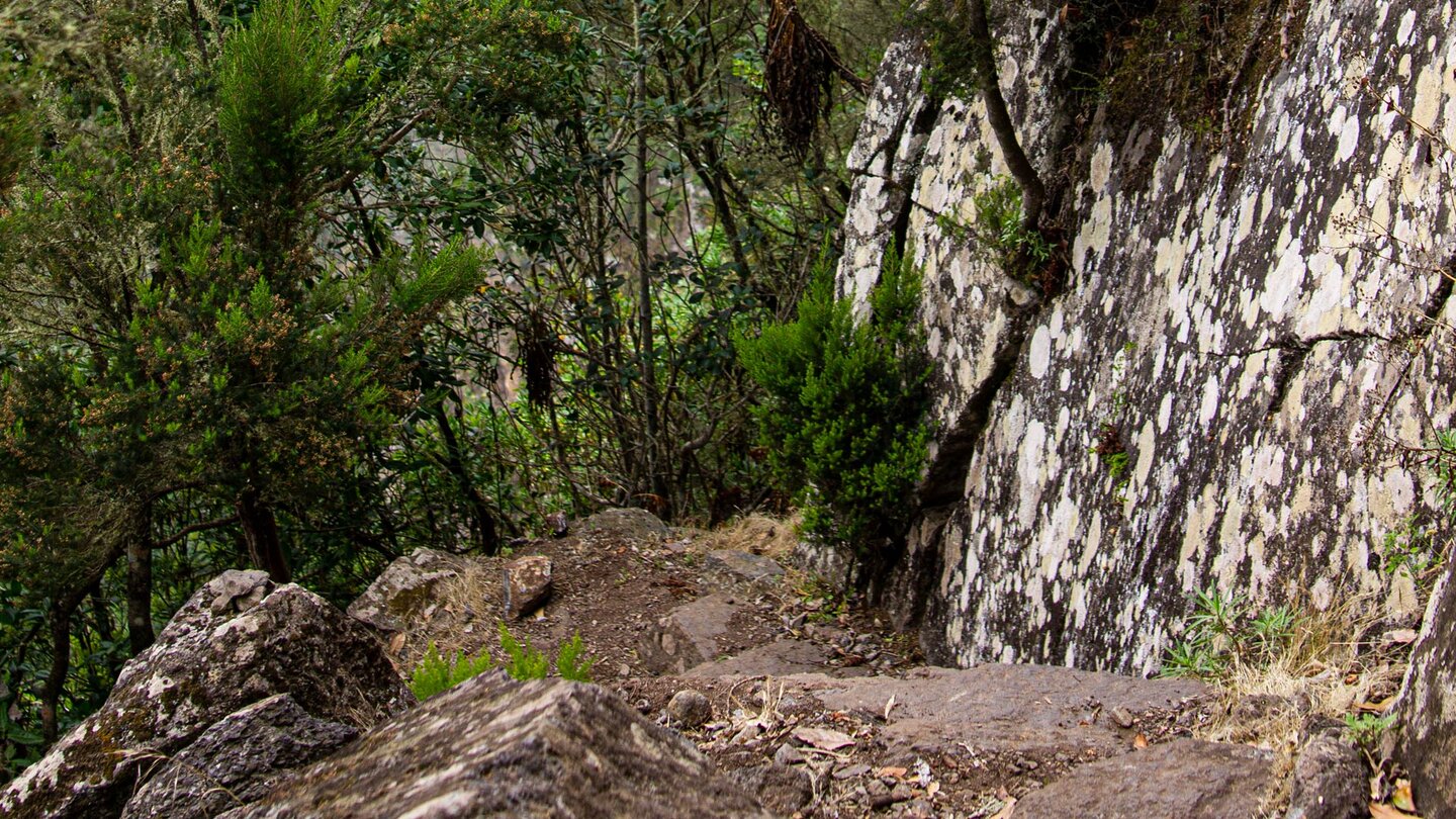 Wanderweg Ruta 37 in der Nähe von El Chorro -La Gomera