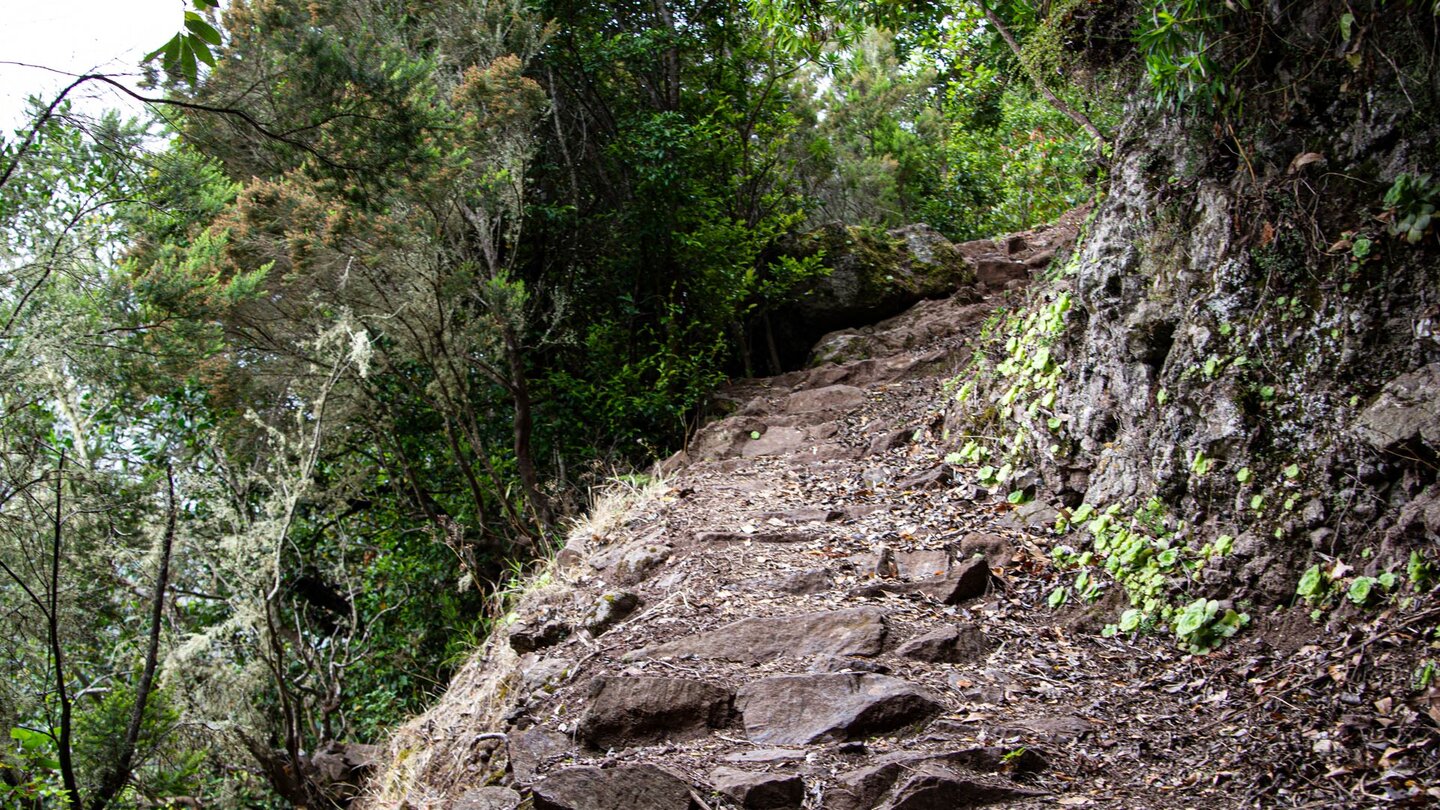 steile Wanderwege führen nach Hermigua