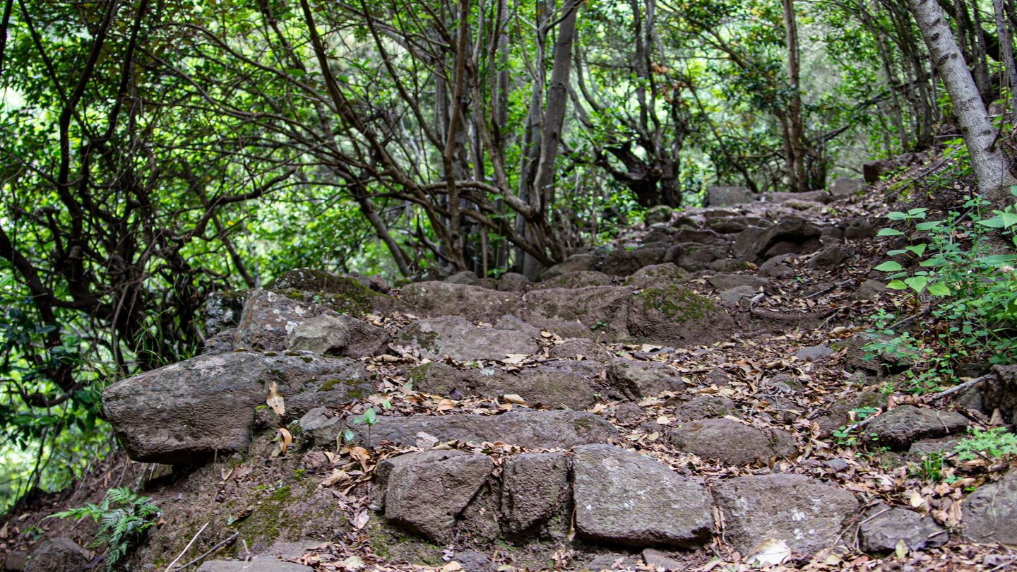 über steinerne Treppen führt der Wanderweg nach Hermigua - La Gomera