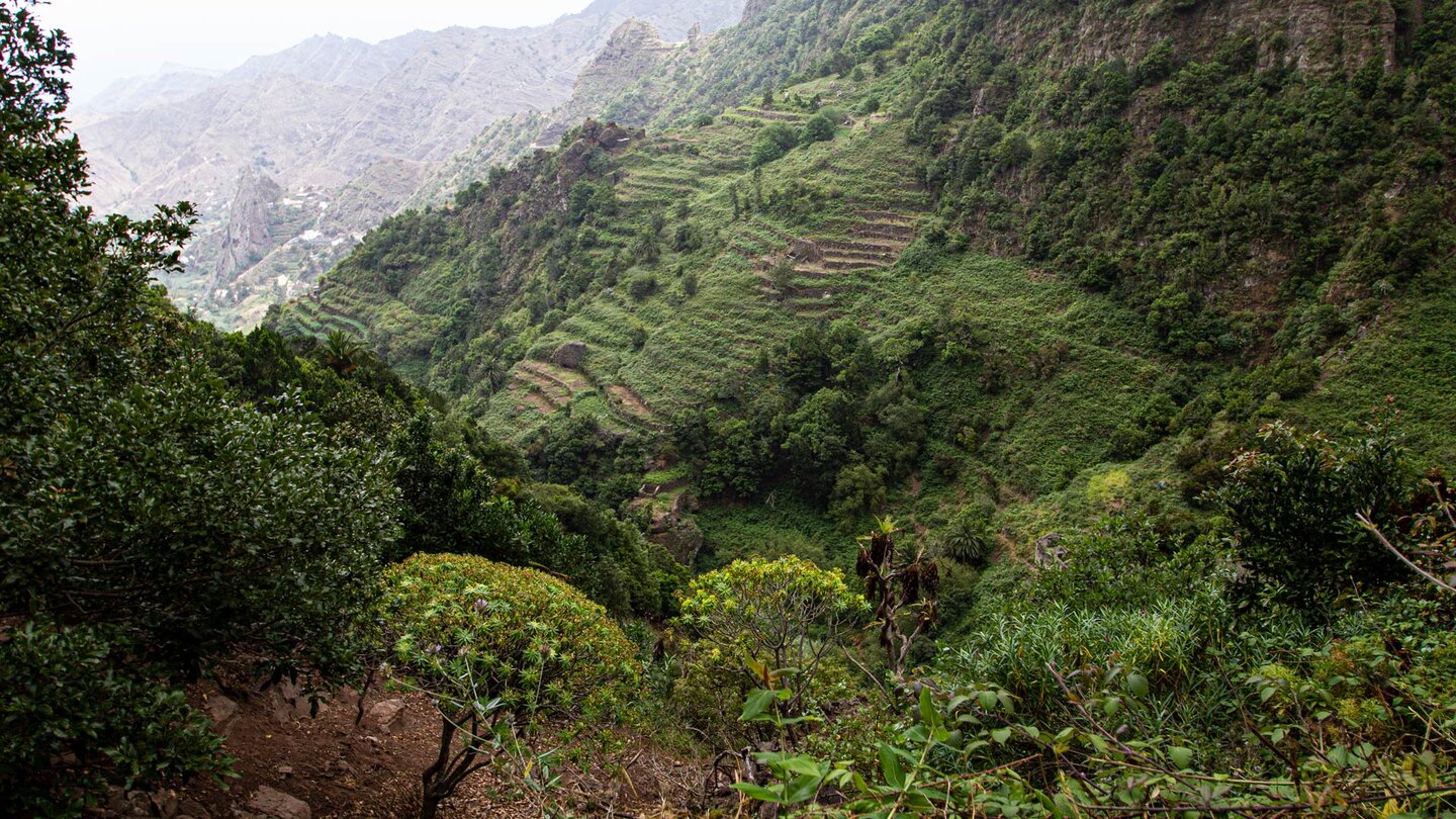 Aussicht über die terrassierten Felder am Barranco de Monteforte