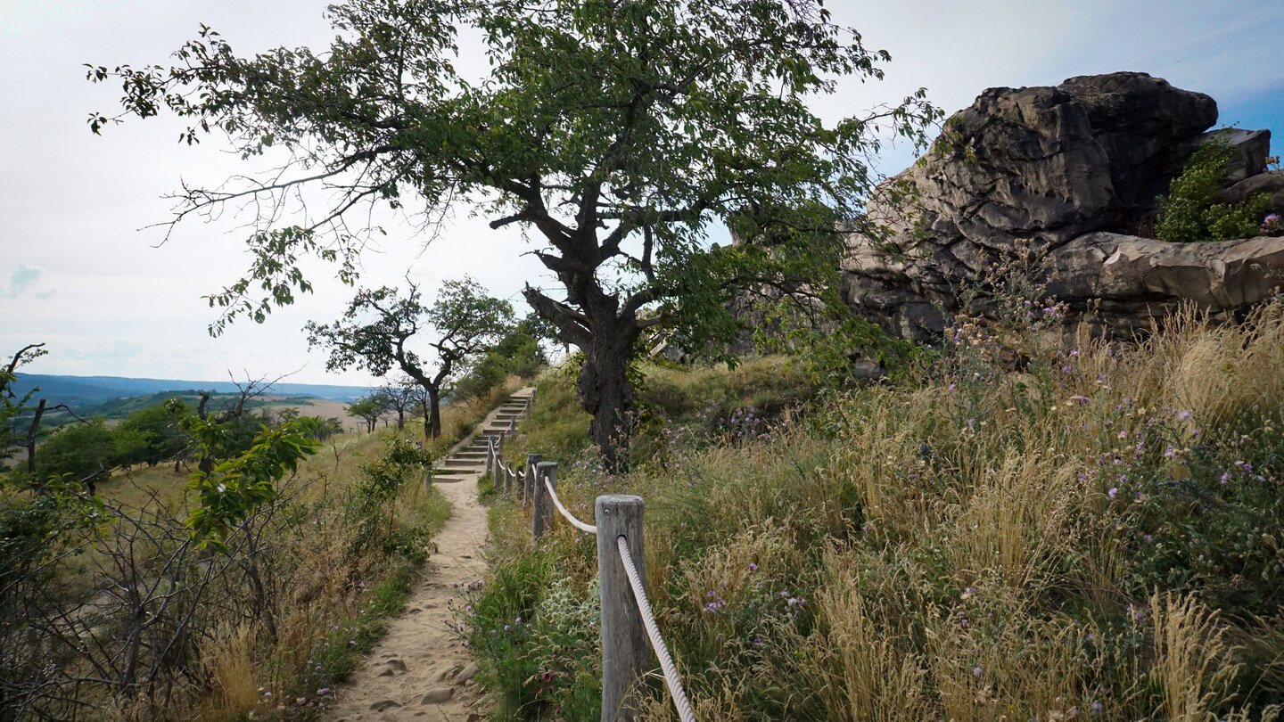 Weg zur Teufelsmauer bei Thale