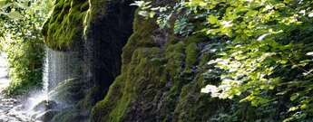 Wasserschleier am Dietfurter Wasserfall