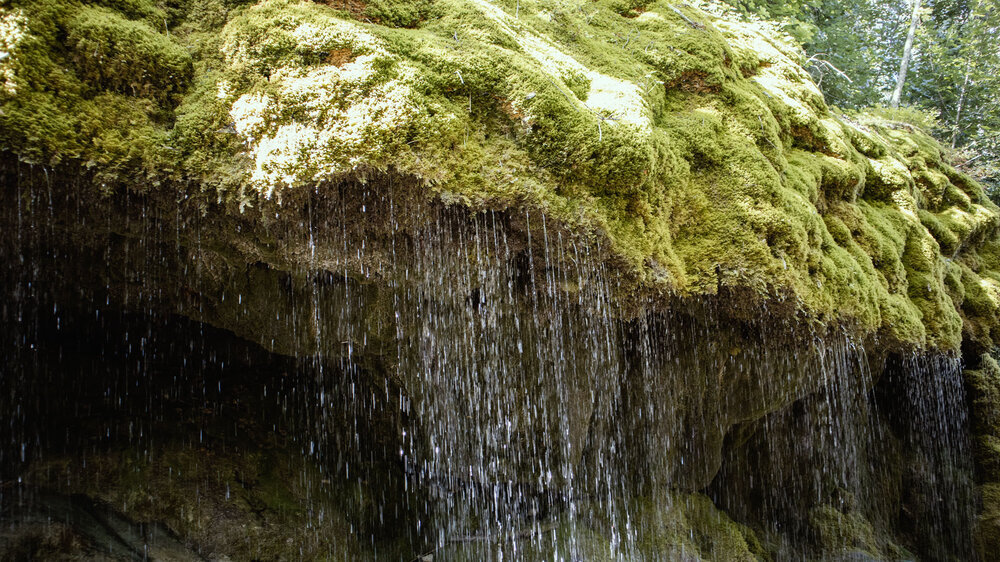 bemooste Flächen am Dietfurter Wasserfall