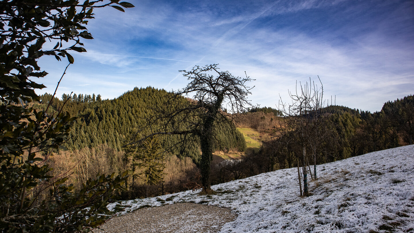 Schwarzwaldidylle am Hölzleberg in Durbach Gebirg