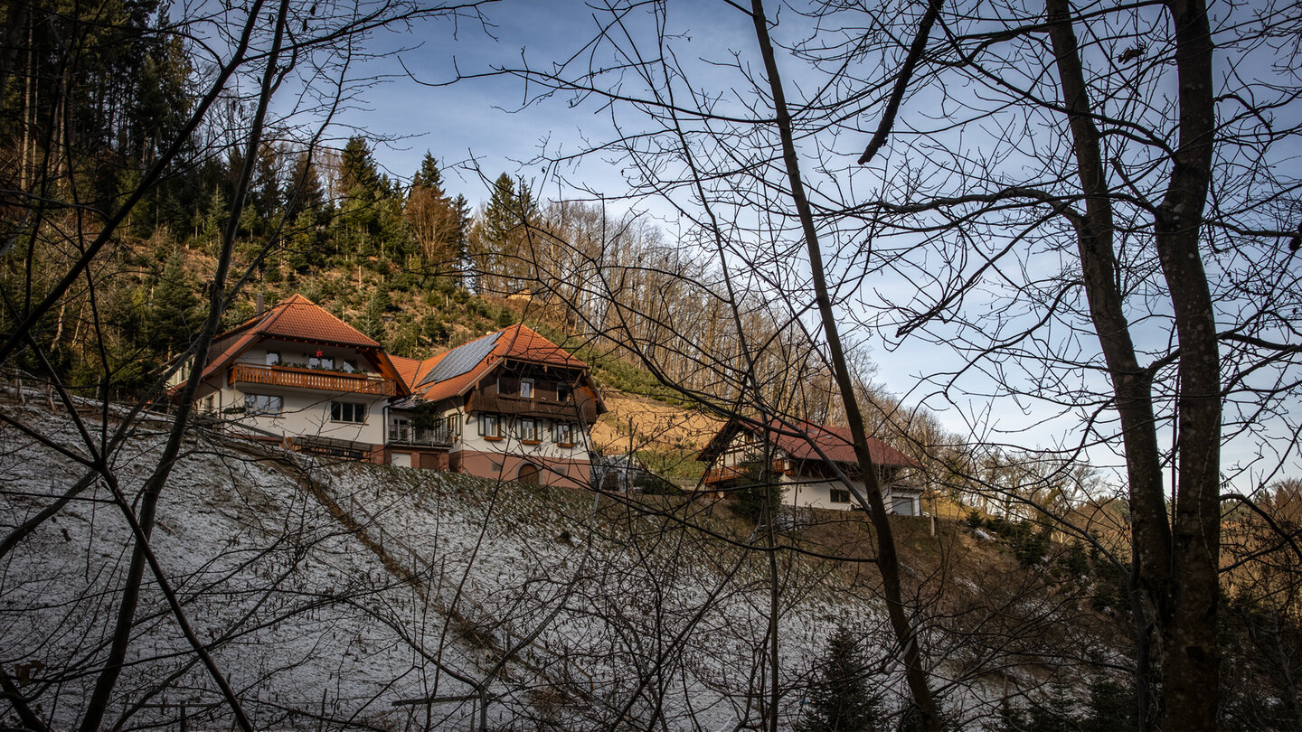Schwarzwaldhof Halterhof in Durbach Gebirg