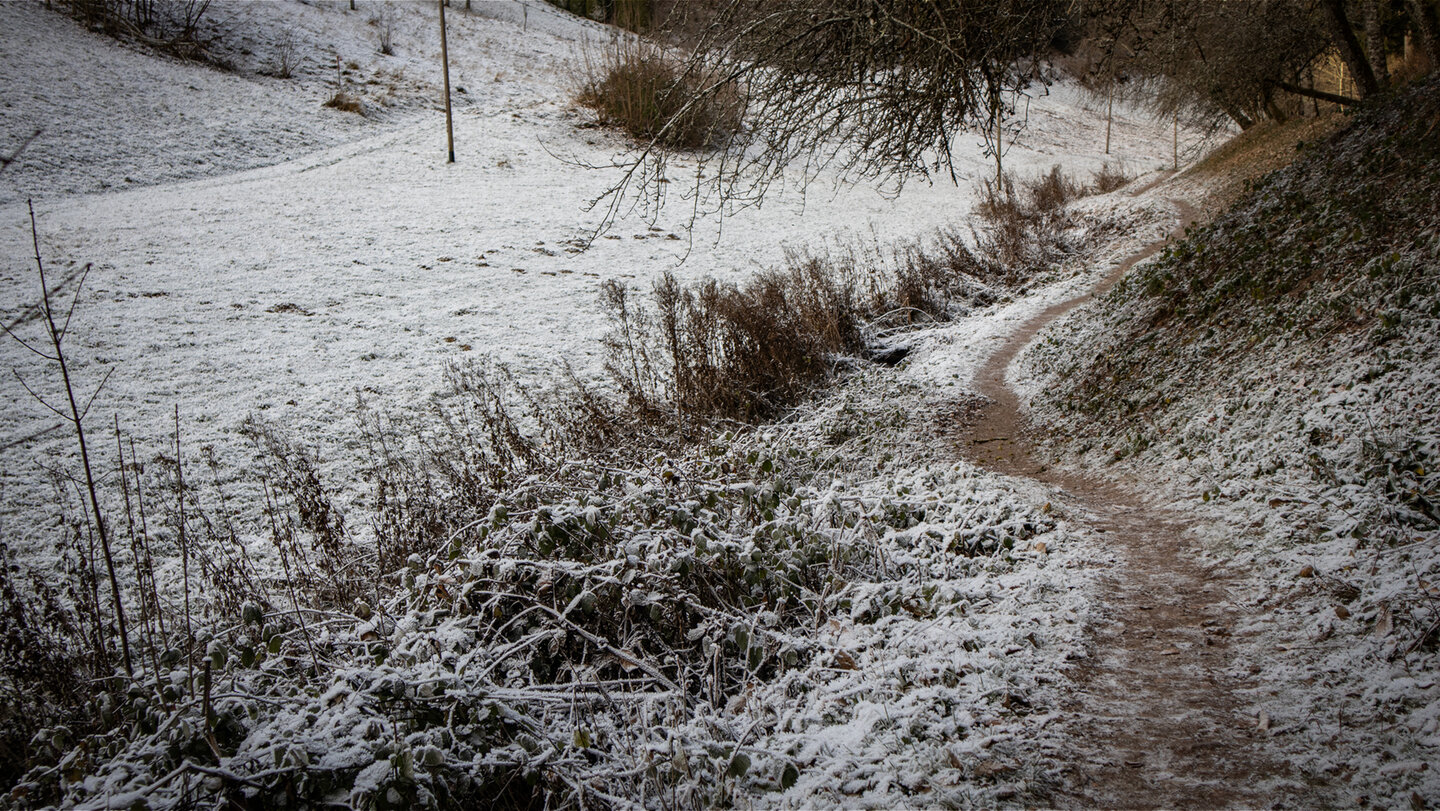 Wanderpfad am Großen Langenbach bei Tiefenspring