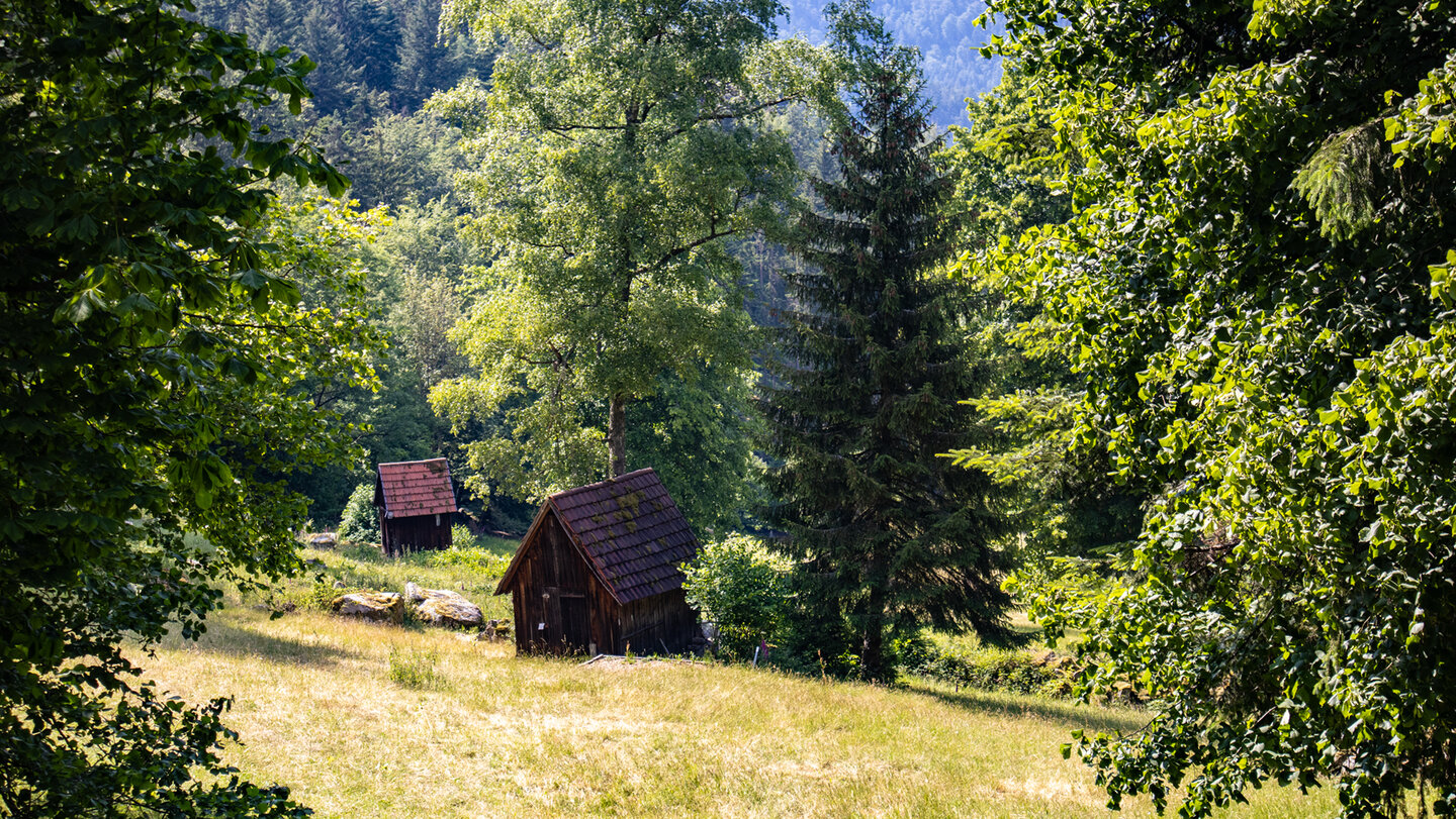 Heuhütten im Murgtal