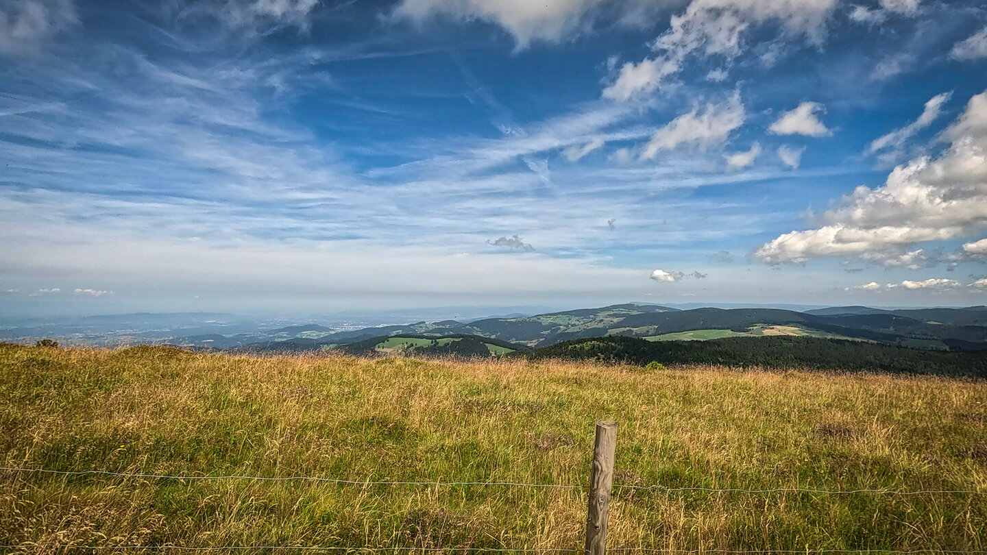 Wiesenlandschaft des Belchen