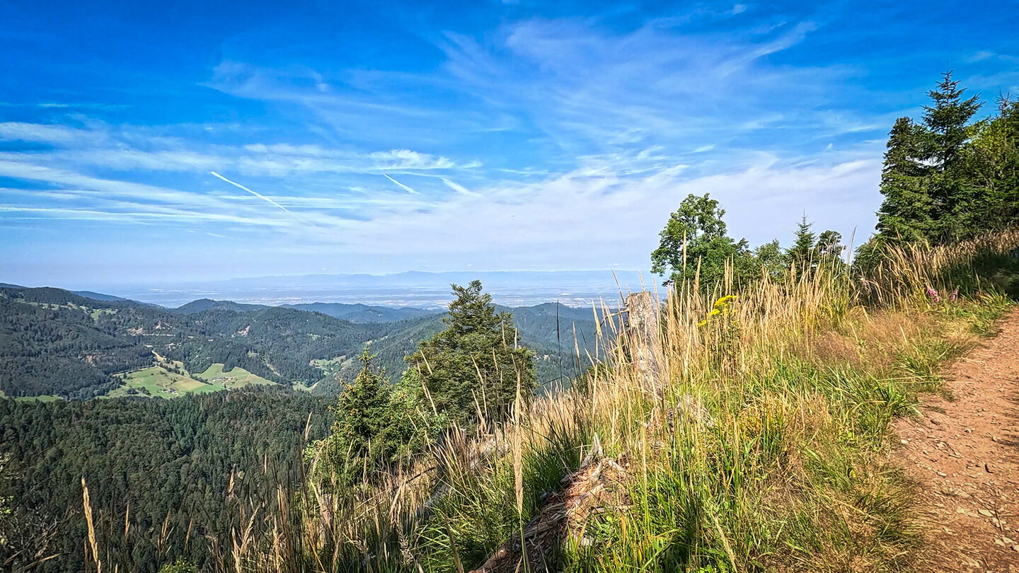 Ausblicke bis zur Rheinebene und den Vogesen