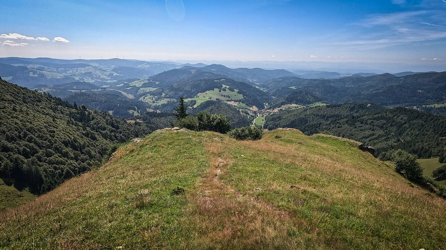 Panoramaausblick vom Rapsfelsen