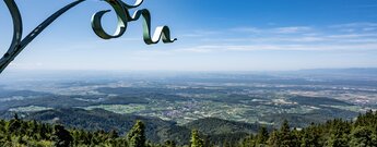Blick vom Aussichtsturm des Hochblauen