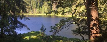 der Herrenwieser See ist kleinste der Karseen im Nordschwarzwald