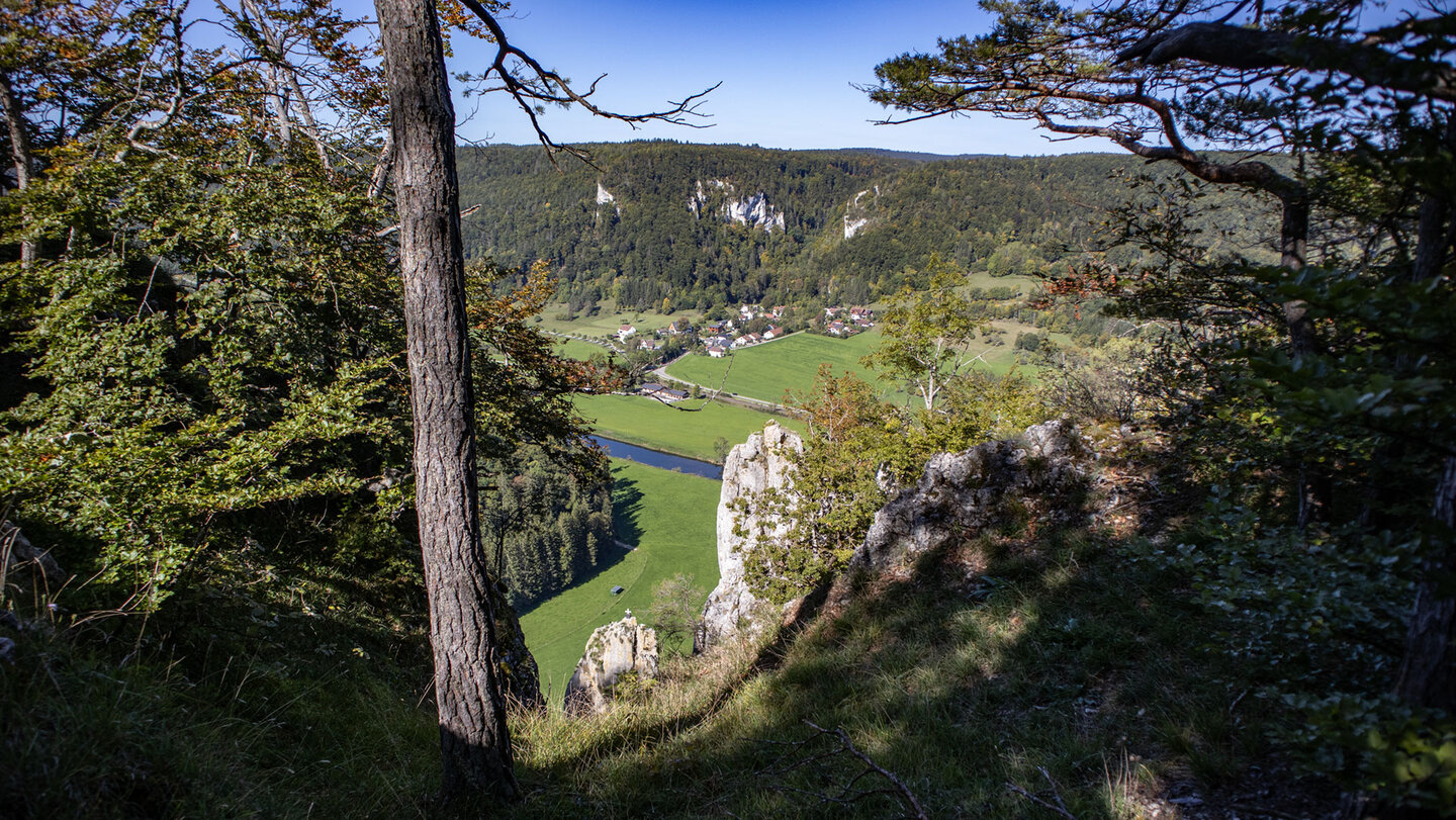 Donautal mit dem Eblinger Turm