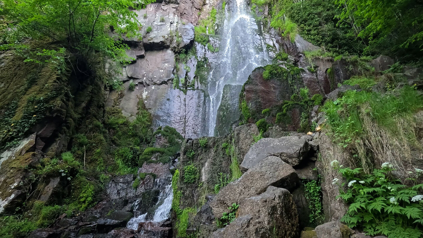 der Wasserfall Cascade du Nideck fällt über eine Felswand