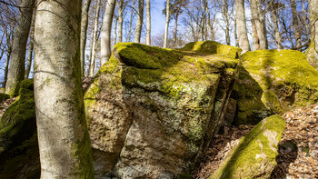 Felsen am Zwergberg bei der Hohen Loog im Pfälzerwald