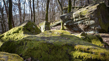 bemoostes Felsenmeer am Zwergberg