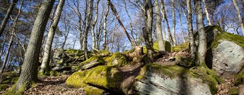 Felsenmeer am Hang des Zwergbergs