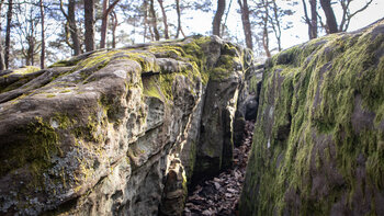 Spalten im Felsenmeer am Zwergberg