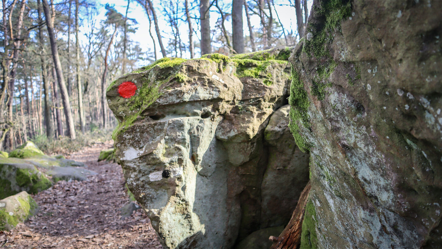 Wanderpfad durchs Felsenmeer am Zwergberg