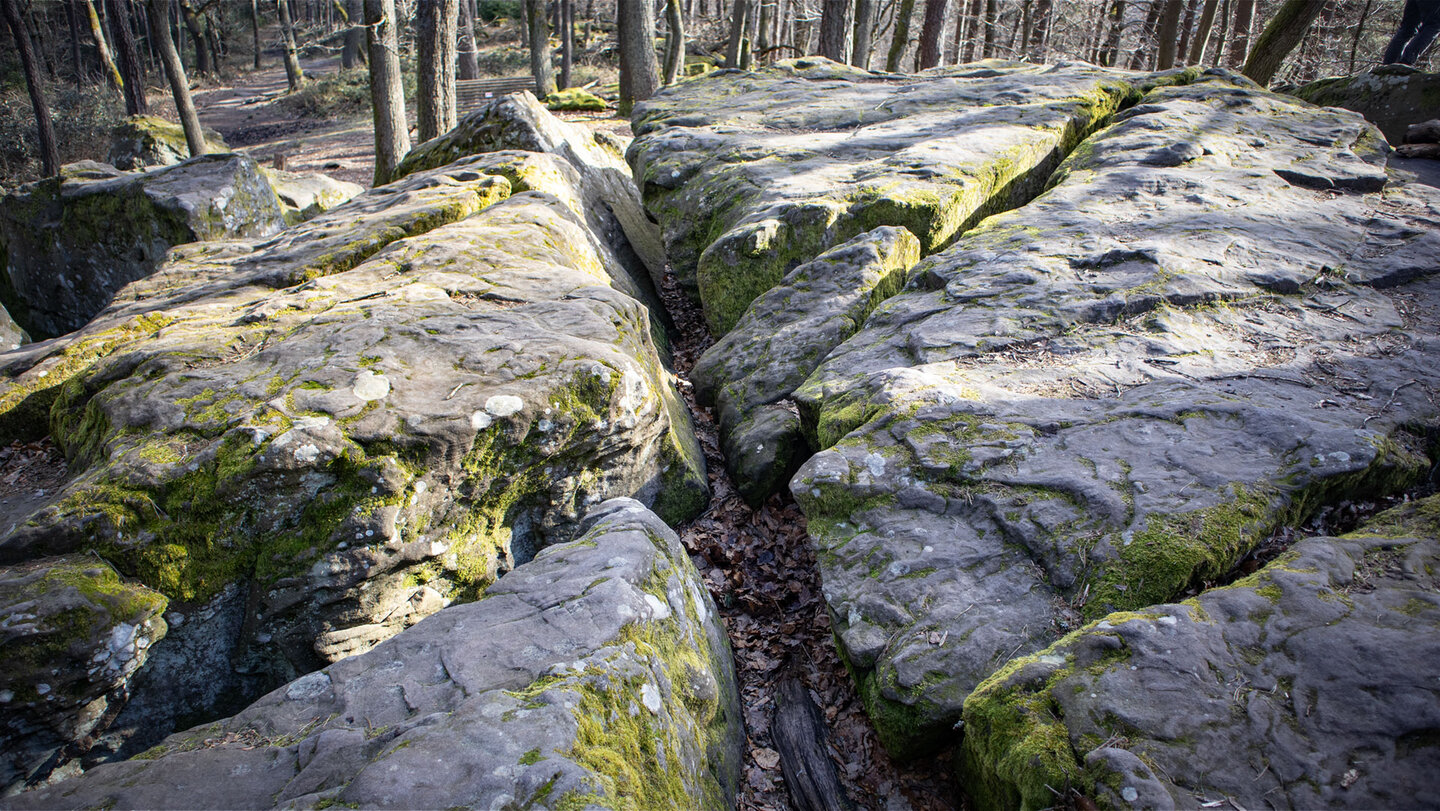 Felsplattformen im Felsenmeer am Zwergberg