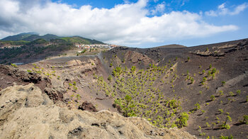 Blick über den Krater des Volcán San Antonio Richtung Fuencaliente