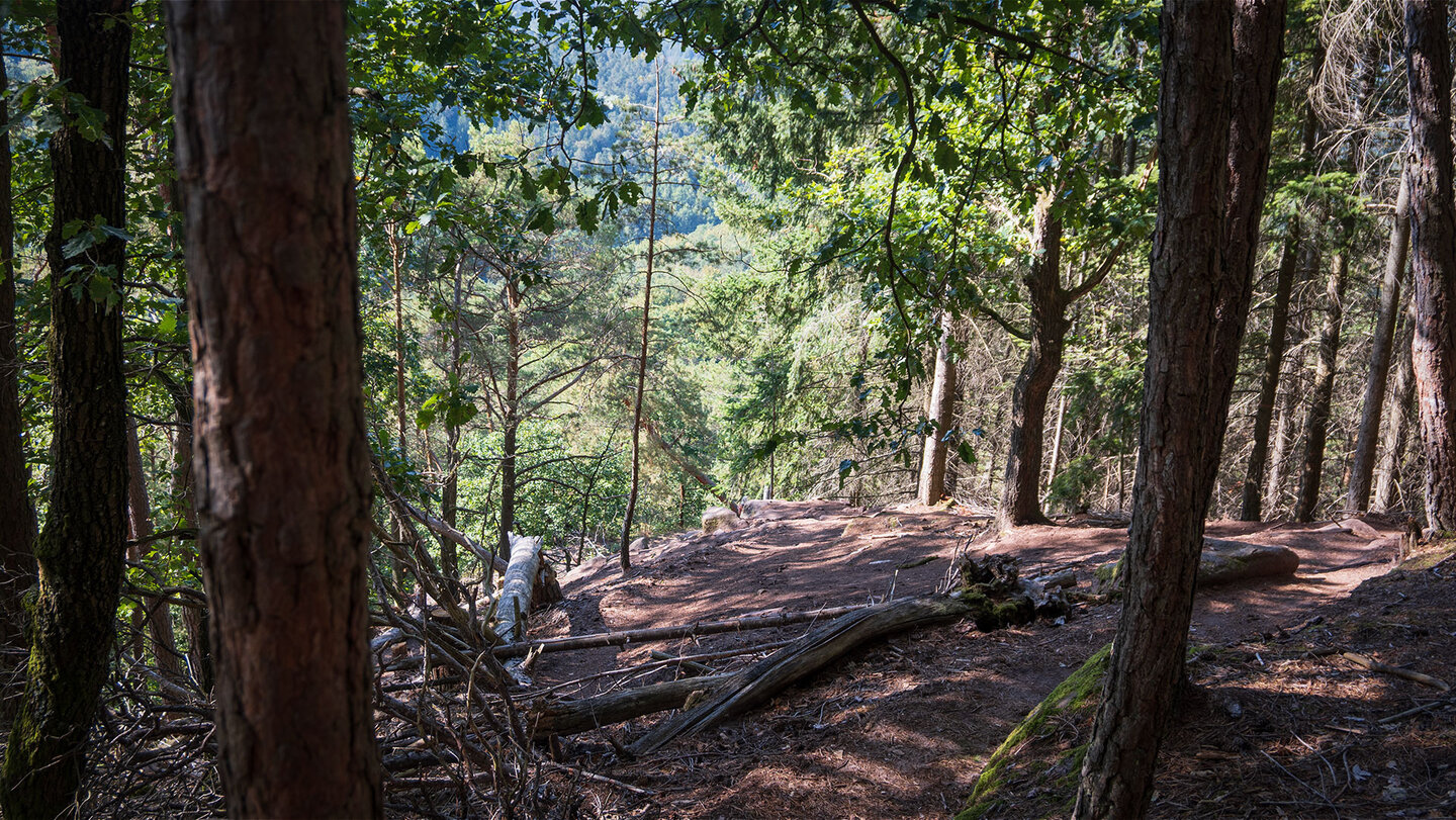 Blick auf den steilen Abstiegspfad vom Jüngstberg Abstiegspfad vom Jüngstberg