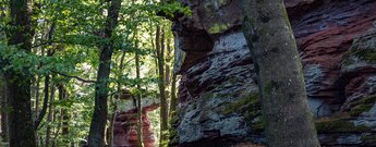 Buntsandsteinfelsen auf der Jüngstberg-Tour