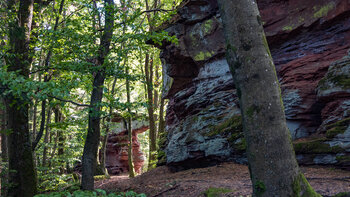 Buntsandsteinfelsen auf der Jüngstberg-Tour