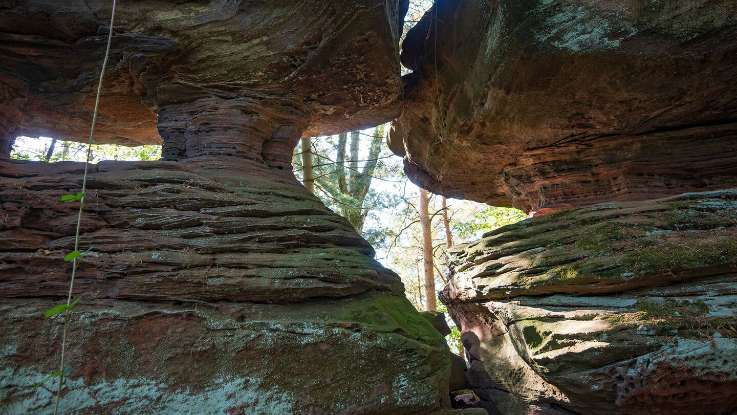 Erodierte Felsformationen auf dem Jüngstberg im Dahner Felsenland Felsformationen auf dem Jüngstberg